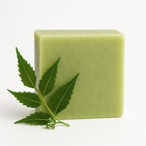 ayurvedic pure neem tree soap